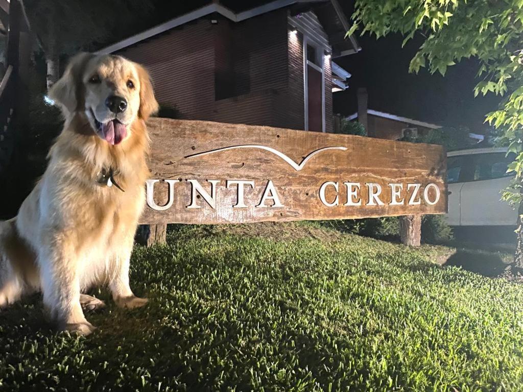 Punta Cerezo Apart Carilo Dış mekan fotoğraf