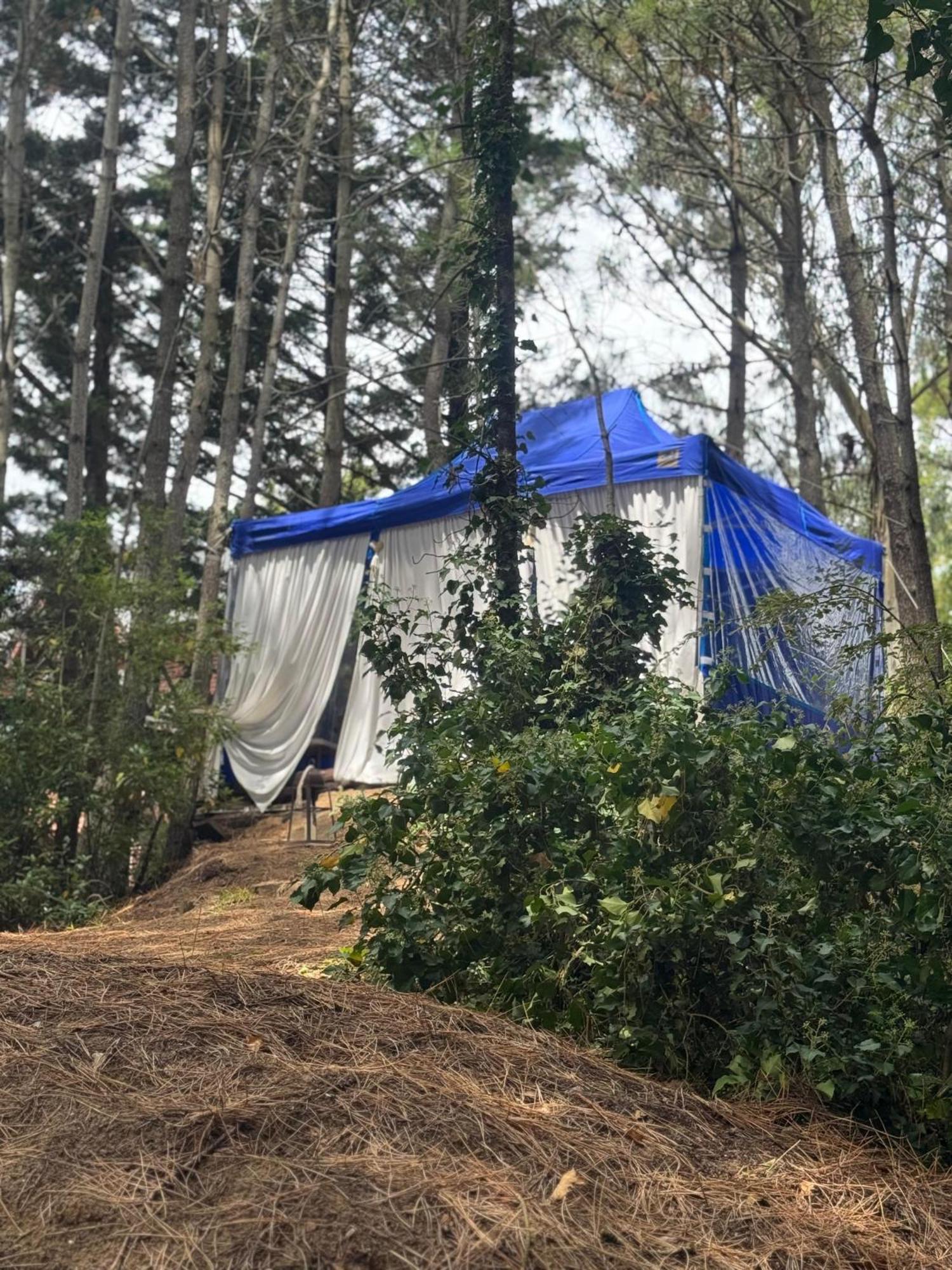 Punta Cerezo Apart Carilo Dış mekan fotoğraf